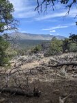pic_60105.jpg