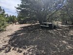pic_60129.jpg