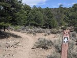 pic_60134.jpg