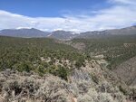 pic_60137.jpg