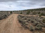 pic_60151.jpg
