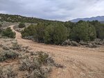 pic_60152.jpg