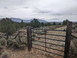 pic_60154.jpg