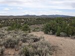 pic_60157.jpg