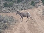 pic_60170.jpg