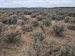 pic_60172.jpg