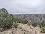 pic_60175.jpg