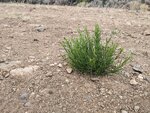 pic_60185.jpg