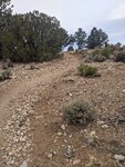 pic_60195.jpg