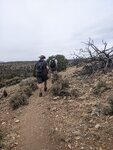 pic_60199.jpg