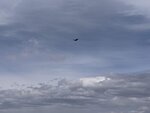 pic_60201.jpg