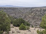 pic_60207.jpg