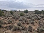 pic_60216.jpg