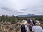 pic_60217.jpg