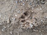 pic_60228.jpg