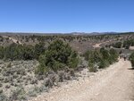 pic_60243.jpg