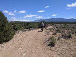 pic_60245.jpg