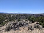 pic_60262.jpg