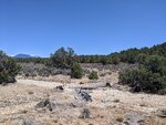 pic_60264.jpg