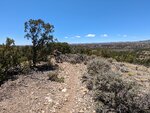 pic_60265.jpg