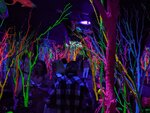 pic_60272.jpg