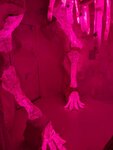 pic_60276.jpg
