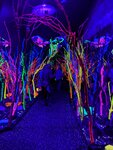 pic_60296.jpg