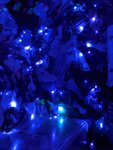 pic_60311.jpg