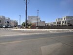 pic_60317.jpg