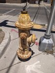 pic_60318.jpg
