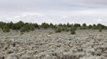 mov_IMG_3534.mov