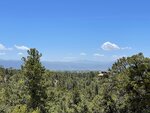 pic_60621.jpg