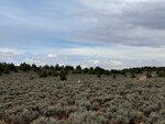 pic_60635.jpg
