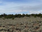 pic_60638.jpg