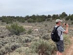 pic_60640.jpg