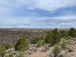 pic_60650.jpg