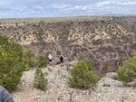 pic_60655.jpg