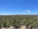 pic_60700.jpg