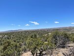pic_60701.jpg