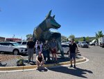 pic_60707.jpg