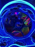 pic_60739.jpg