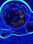 pic_60740.jpg