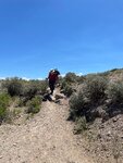 pic_60748.jpg