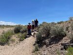 pic_60749.jpg