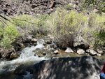 pic_60759.jpg