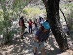 pic_60761.jpg