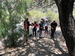 pic_60762.jpg