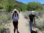 pic_60774.jpg