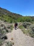 pic_60775.jpg