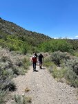 pic_60776.jpg